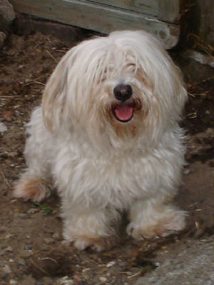070804terry.jpg