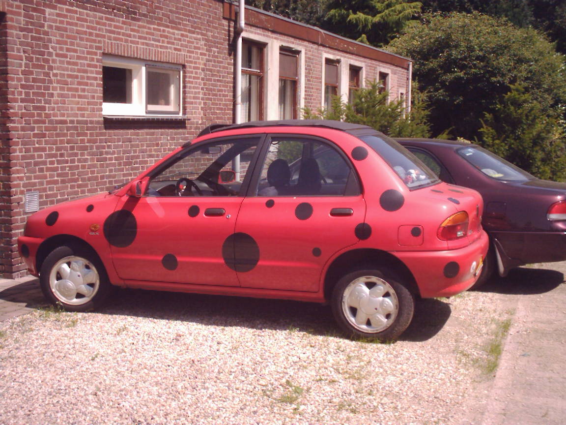 ladybug.jpg